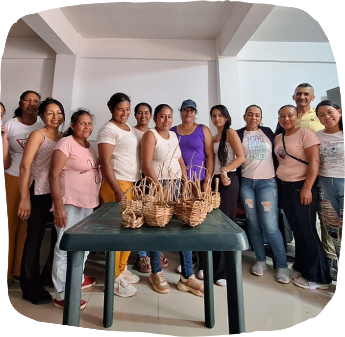 Proyecto de Agricultura Sostenible